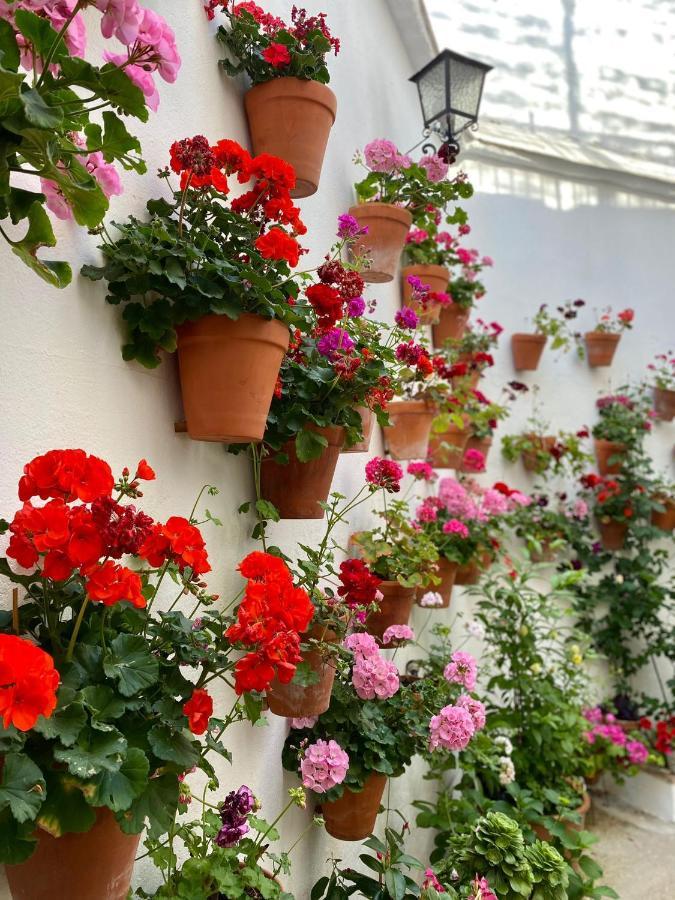 Apartmán Amal Casa De Huespedes Córdoba Exteriér fotografie
