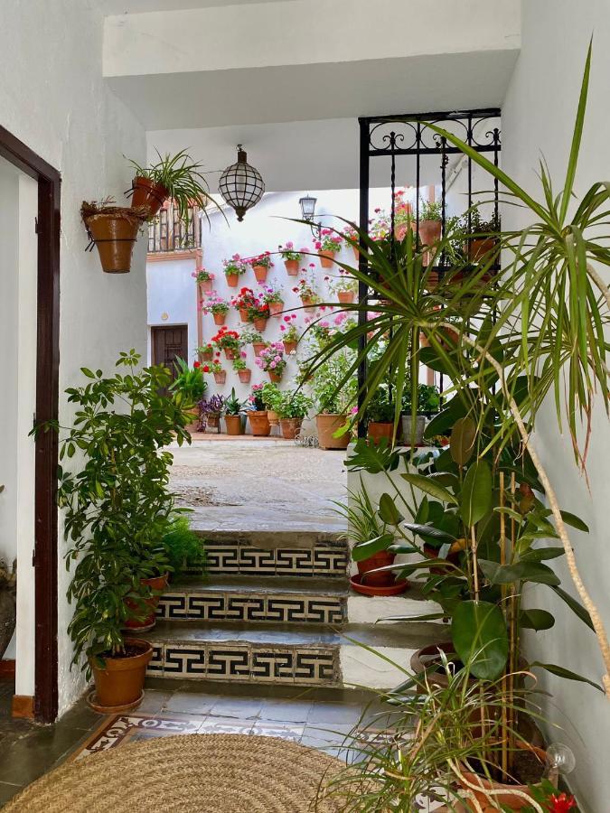 Apartmán Amal Casa De Huespedes Córdoba Exteriér fotografie