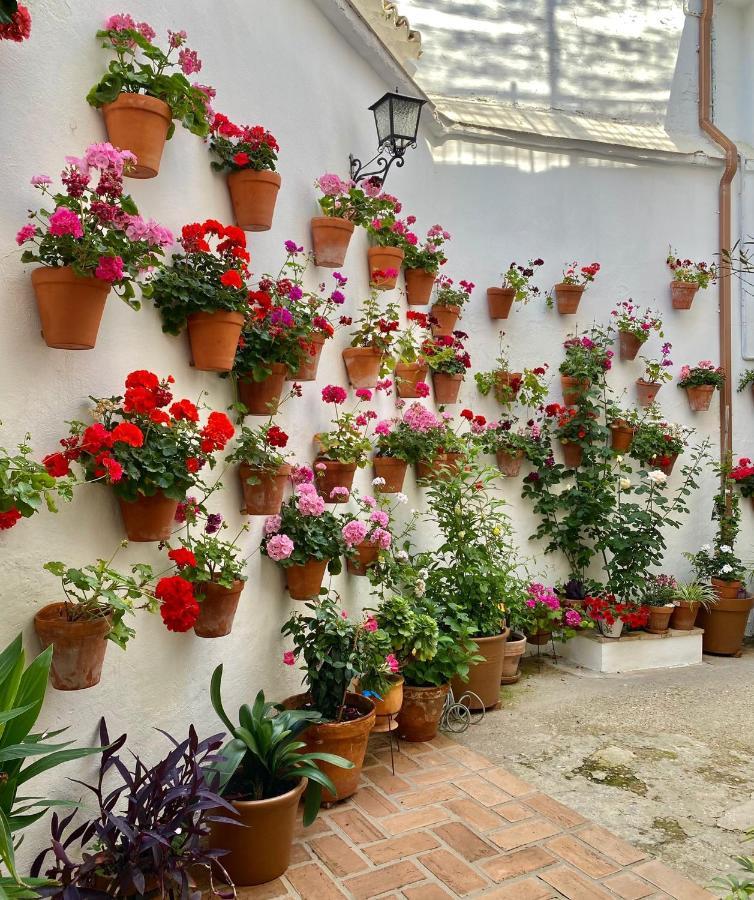Apartmán Amal Casa De Huespedes Córdoba Exteriér fotografie
